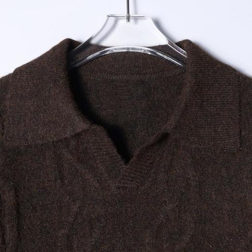 9938SDSA男士秋冬新款痞帅男装港风复古麻花编织海鸥领毛衣休闲百搭 商品图2