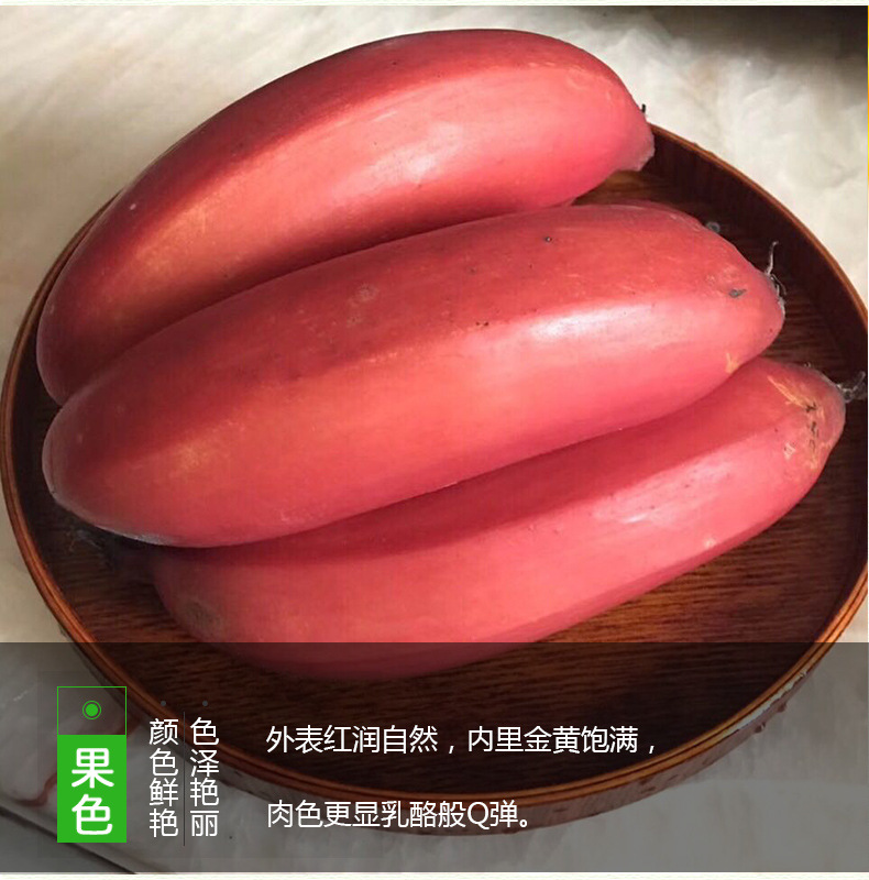 红美人香蕉_07.jpg
