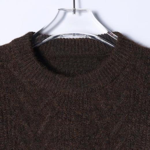 5825SDSA男士秋冬新款痞帅男装港风复古绞花圆领毛衣百搭舒适针织衫 商品图2