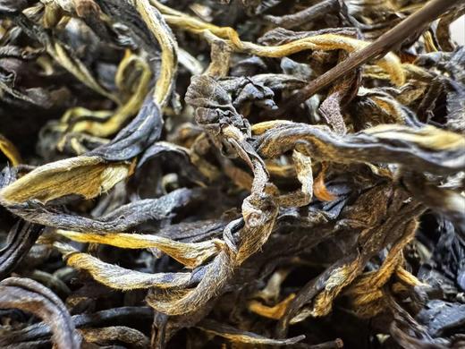 2025年·三人行 古树红茶 500克  茶王村·香竹菁 商品图2