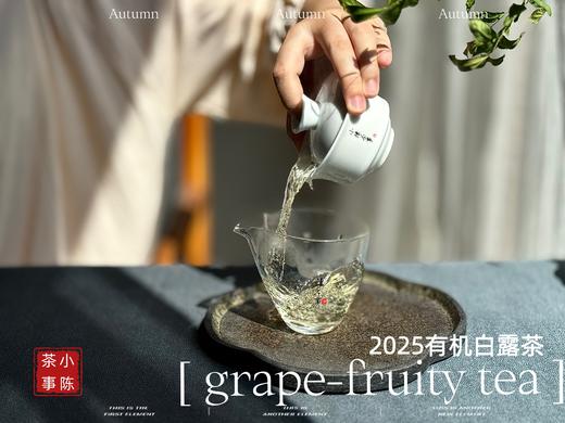 【新品】罕见青提葡萄果香的2025有机白露茶，又清鲜，又甜美。伴着清妍明媚的花香，柔润无比！（1斤收藏装） 商品图7