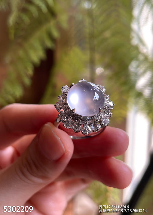 5302209，蛋面戒指。具体价格微信咨询 商品图1