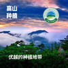 昌西公社2025新米鸭田稻5kg 清凉峰高山种植真空包装白米紫米 商品缩略图1