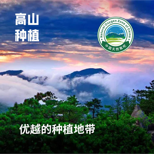 昌西公社2025新米鸭田稻5kg 清凉峰高山种植真空包装白米紫米 商品图1