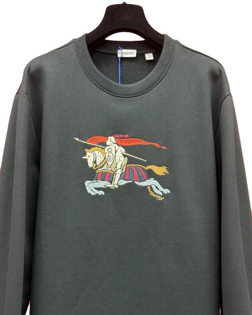 男款logo刺绣卫衣007 商品图2