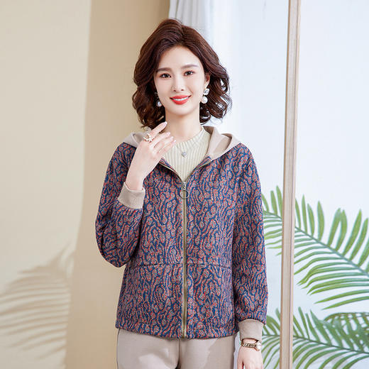 FD-2317中年妈妈外套洋气连帽春秋短款休闲上衣新款中老年女装减龄夹克衫 商品图1