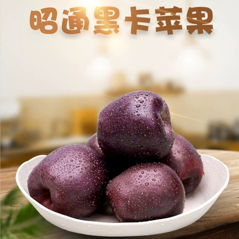 【云南昭通黑卡苹果】香甜多汁 原产地直供苹果之乡