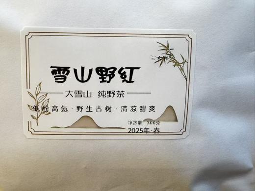 2025年春  雪山野红 （混株野红） 野生古茶树  300克/份 商品图1