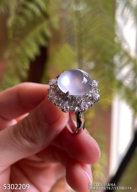 5302209，蛋面戒指。具体价格微信咨询 商品图3