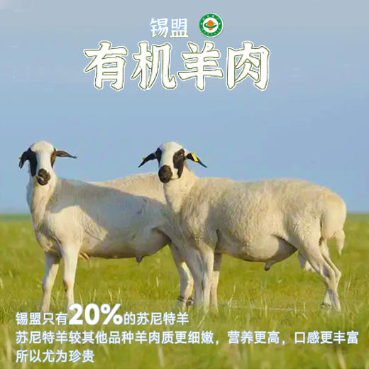 有机苏尼特羔羊（内蒙古）6个月草原有机养殖 商品图0