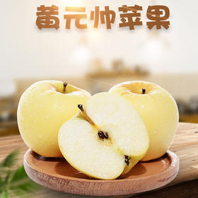 【鲜甜好滋味❗大连黄元帅苹果】烟台黄元帅苹果色泽金黄，果皮薄，果肉奶白色，果香浓郁，只要一口,就能让您回味无穷，黄金帅刮泥黄苹果当季孕妇水果L
