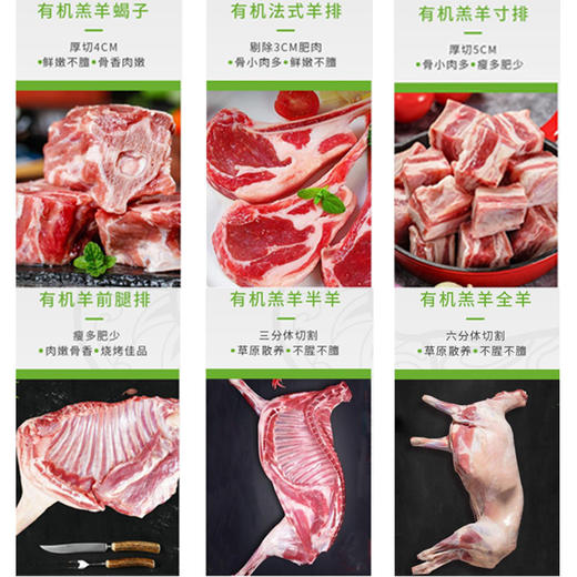 有机苏尼特羔羊（内蒙古）6个月草原有机养殖 商品图4