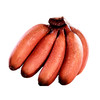 【福建红美人香蕉】果香怡人软糯甜蜜 肉质细腻个头饱满 商品缩略图4