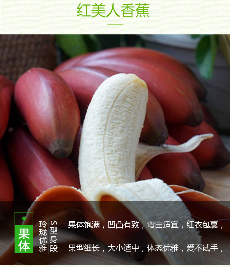 红美人香蕉_06.jpg