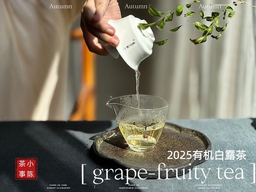 【新品】罕见青提葡萄果香的2025有机白露茶，又清鲜，又甜美。伴着清妍明媚的花香，柔润无比！（1斤收藏装） 商品图9