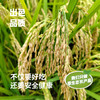 昌西公社2025新米鸭田稻5kg 清凉峰高山种植真空包装白米紫米 商品缩略图2