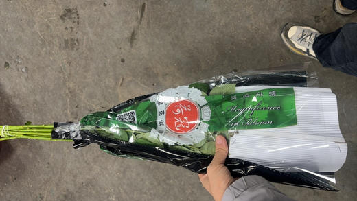 荷冠白雪山 商品图2