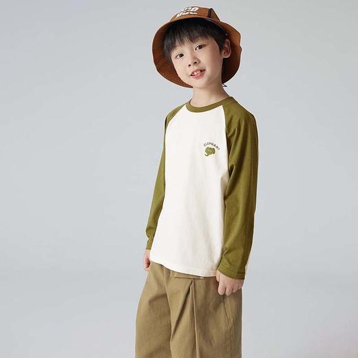 【59.9元3件】贝叮熊索罗娜纯棉插肩款长袖打底衫 商品图5