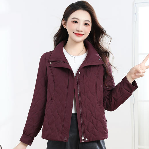 QYM 86C23-Y棉外套时尚薄款棉衣 商品图0