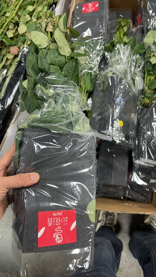 云花香卡布其诺 商品图2