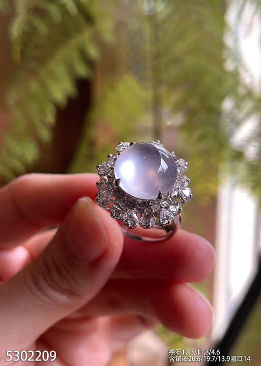 5302209，蛋面戒指。具体价格微信咨询 商品图0