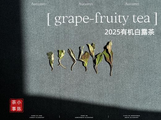 【新品】罕见青提葡萄果香的2025有机白露茶，又清鲜，又甜美。伴着清妍明媚的花香，柔润无比！（1斤收藏装） 商品图1