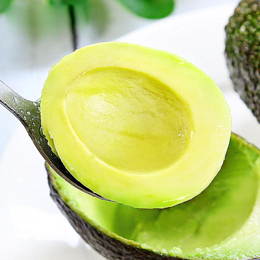 【森林的“奶油”❗云南哈斯牛油果】果肉紧密，口感爽滑，甘美香醇，乳香诱人回味！当季孕妇即食鳄梨酪梨水果L 商品图2