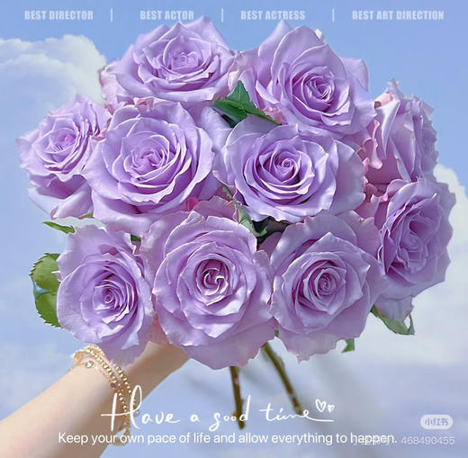 拍市海洋之歌A 商品图0