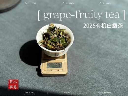 【新品】罕见青提葡萄果香的2025有机白露茶，又清鲜，又甜美。伴着清妍明媚的花香，柔润无比！（1斤收藏装） 商品图3