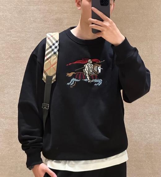 男款logo刺绣卫衣007 商品图3