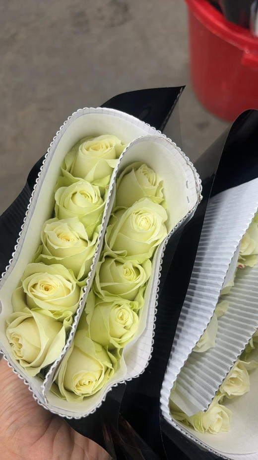 荷冠白雪山 商品图1