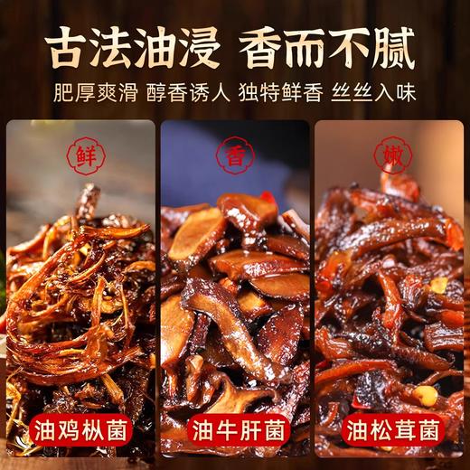 2025云南特产菌菇下饭酱460g/瓶 油鸡枞菌+油松茸菌+油牛肝菌 开罐即食 鲜香下饭 商品图3