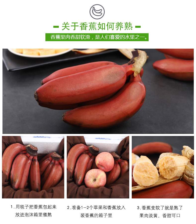 红美人香蕉_12.jpg
