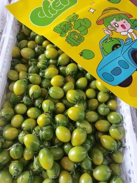 【会员16.5/斤】爆匠糖丸青甜小柿子