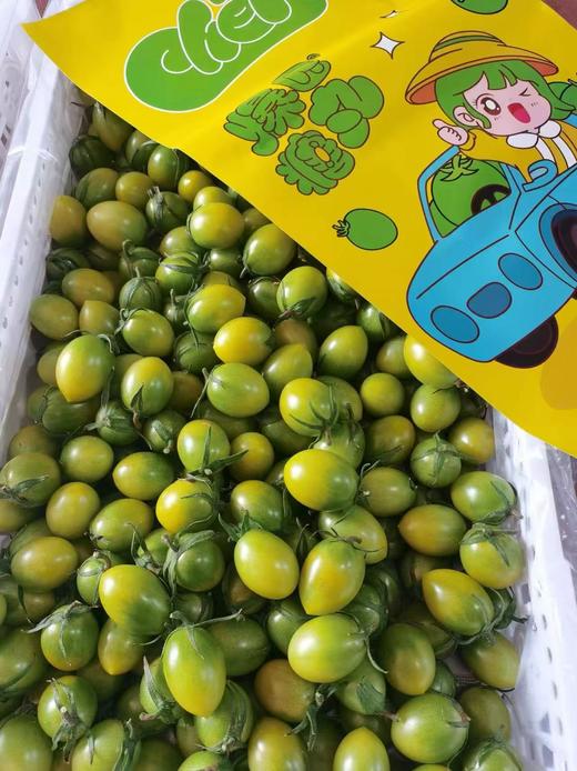 爆匠糖丸青甜小柿子 商品图0