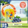 沫小言蓝莓胡萝卜汁 简单纯粹 来自大自然的花青素 商品缩略图3