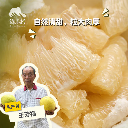 生态琯溪蜜柚（中通快递，湖南）| 合作生产*Eco-guanxi pomelo| Partner Production 商品图0