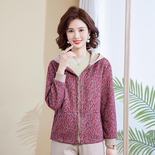 FD-2317中年妈妈外套洋气连帽春秋短款休闲上衣新款中老年女装减龄夹克衫 商品图3