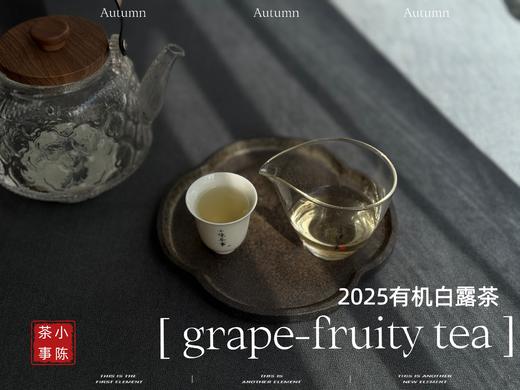 【新品】罕见青提葡萄果香的2025有机白露茶，又清鲜，又甜美。伴着清妍明媚的花香，柔润无比！（1斤收藏装） 商品图12