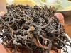 2025年春  雪山野红 （混株野红） 野生古茶树  300克/份 商品缩略图3