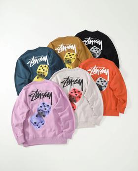 D100406胸前草写签名六色毛绒骰子厚实透气卫衣