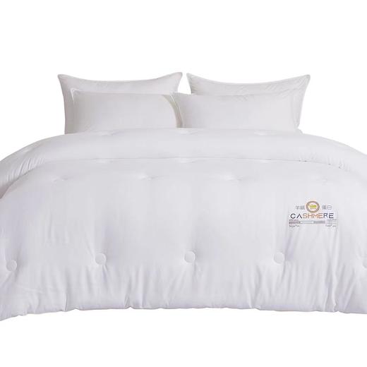 【云粉节】10楼堂皇    舒馨阳绒蛋白冬被      吊牌价890-990元  活动价199-259元 商品图1