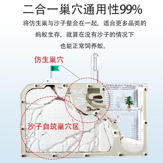 高级多用型蚂蚁城堡【二合一巢穴！自动饮水保湿】蚂蚁工坊|生态玩具科学试验教具蚁巢蚁窝房屋套装。hb 商品图1