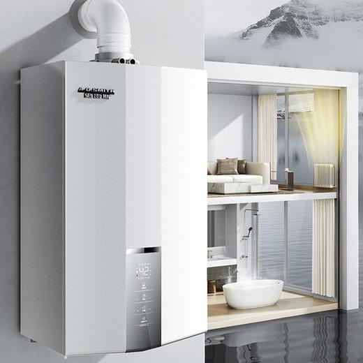 【LL1GBQ24-D10M】A.O.史密斯冷凝采暖/热水两用炉 商品图0