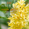 嘉华鲜花饼 现烤桂花栗子酥8枚280g 秋日限定 时令之鲜 短保锁鲜 48小时发货 商品缩略图2