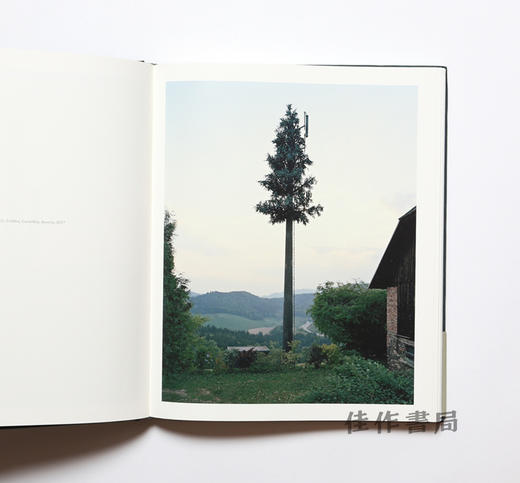 Robert Voit: New Trees / 罗伯特?沃伊特：新型树木 商品图1