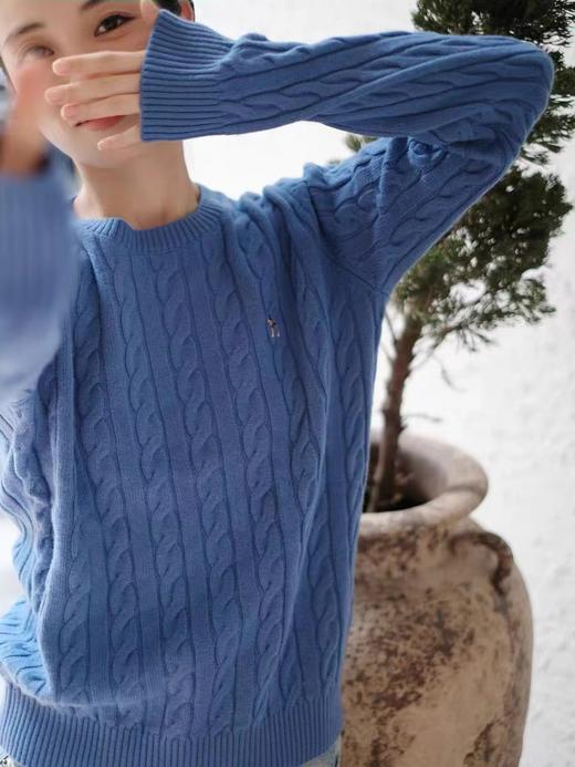 D100421松弛感绞花针织衫女秋季休闲套头羊毛衫潮 商品图14