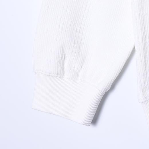 8607SDSA男士秋冬新款痞帅男装高级感纯色针织字母设计圆领卫衣百搭 商品图4