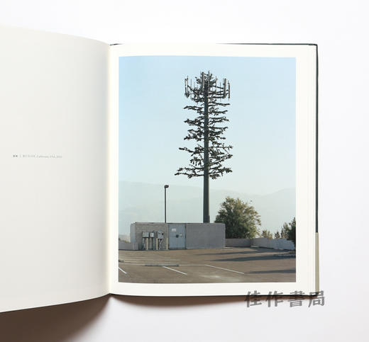 Robert Voit: New Trees / 罗伯特?沃伊特：新型树木 商品图2