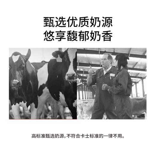 【7天内发出，发出后不支持拦截退货】卡士 原味风味发酵乳 100g*18 商品图3